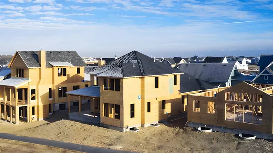 Oriented Strand Board/OSB/Particle Board