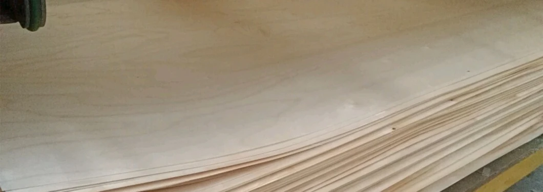 Factory 1220*2440mm Birch Plywood Cheap Birch Commercial Plywood for Furniture