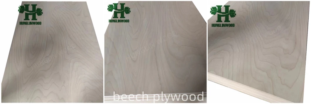 Plywood Okoume/Bleached Poplar/Bintangor/Beech/Pencil Cedar/Birch/Pine/Keruing/Melamine/Laminated/Hardwood/Commercial Plywood for Furniture