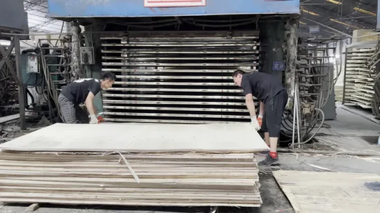 Construcción impermeable comercial de 9/12/18mm, película de madera dura de melamina, madera contrachapada para muebles de encofrado de álamo con ISO9001