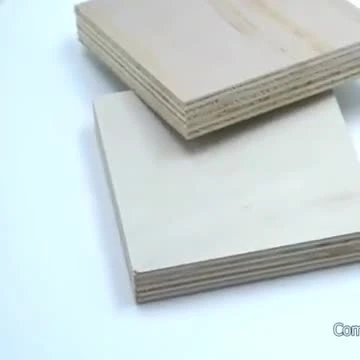 4 6 9 12 15 18mm Núcleo de álamo resistente al agua Brich Bintangor Chapa de madera contrachapada comercial marina laminada para la construcción